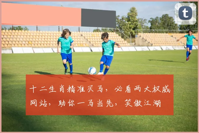 十二生肖精准买马，必看两大权威网站，助你一马当先，笑傲江湖