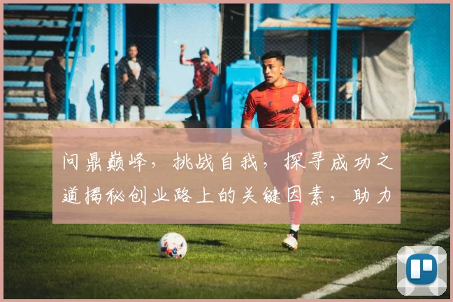 问鼎巅峰，挑战自我，探寻成功之道揭秘创业路上的关键因素，助力梦想成真